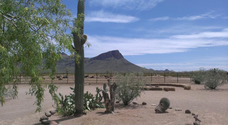 Best offers for White Stallion Ranch Tucson 