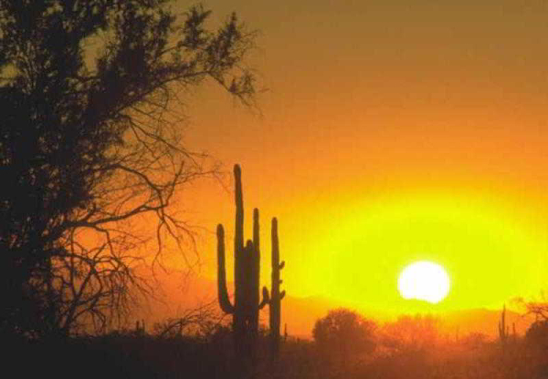 Best offers for Residence Inn by Marriott Phoenix Glendale Sports Glendale