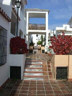 Best offers for Playa Golf Platja de Palma