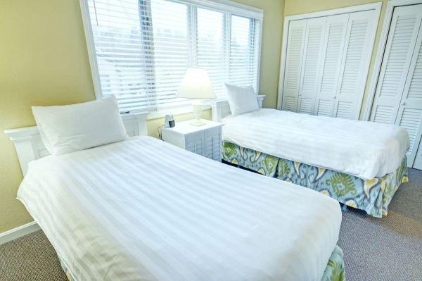 أفضل العروض ل كلاب ويندهام نوبورتافرلوك جامستوون