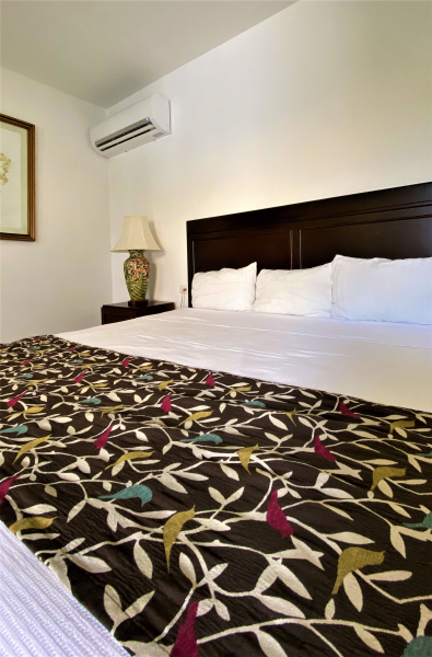 أفضل العروض ل  ميريدا