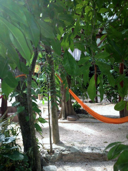 Best offers for Shalala Playa Del Carmen