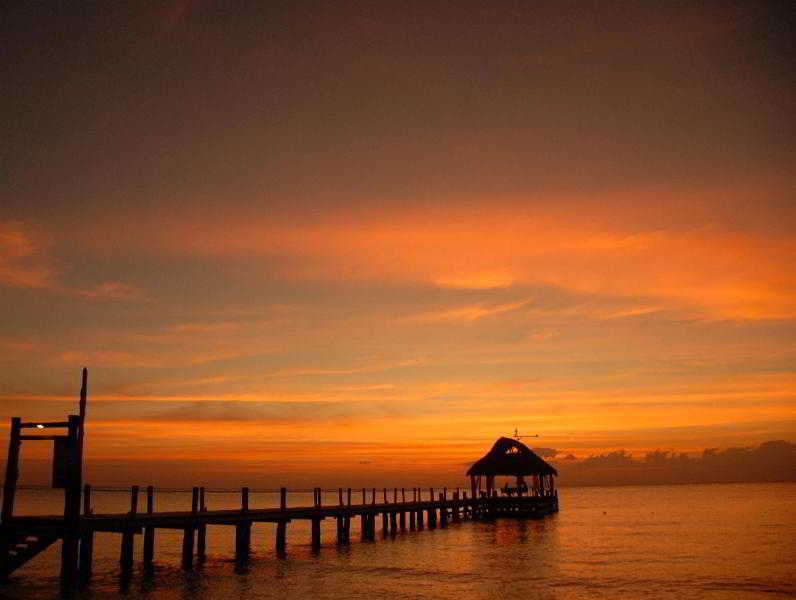 Best offers for Secrets Aura Cozumel Cozumel