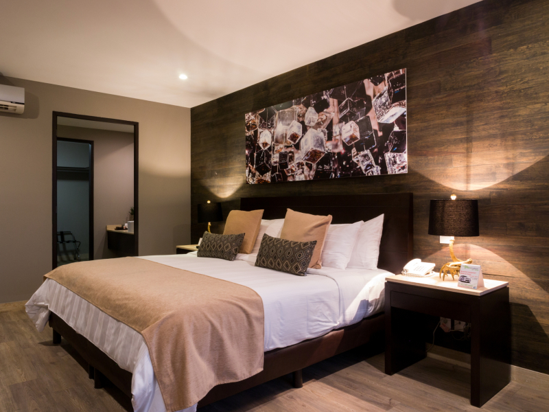 أفضل العروض ل فندق بينتورا و سويتس باى دومينيون مدينة ميكسيكو