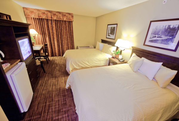 أفضل العروض ل دايسان باى ويندهام سارراي سوري