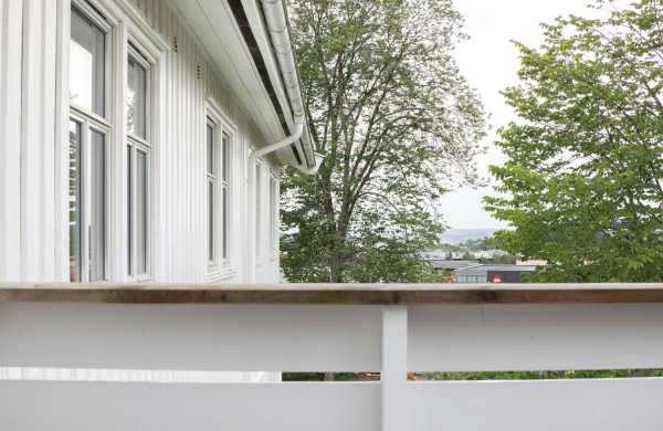 أفضل العروض ل  ستينكجر 