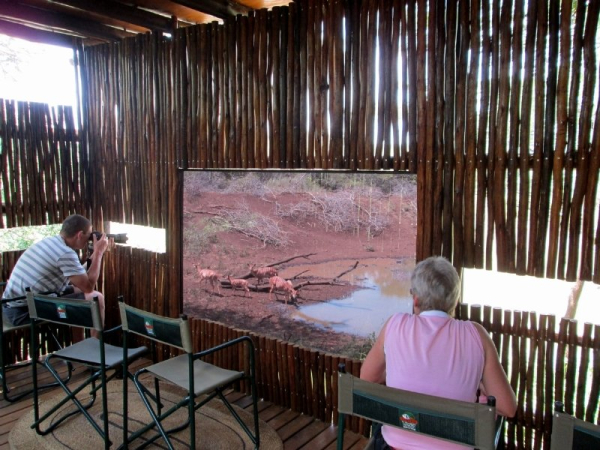 Best offers for Leopard Mountain Lodge Mkuze