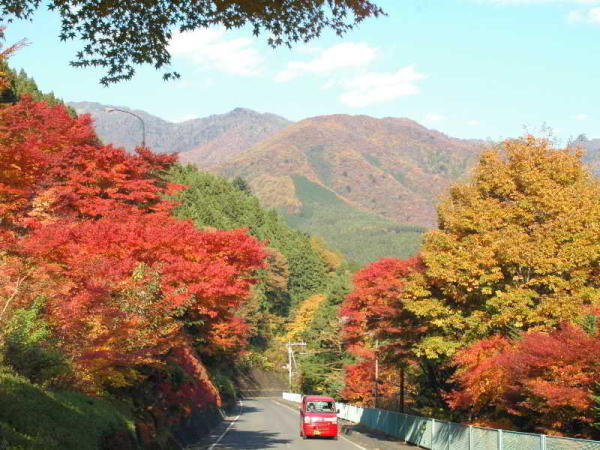 Best offers for Shima Onsen Kashiwaya Ryokan Tokyo