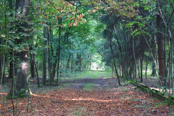 أفضل العروض ل فندق كانترى كاستلباركو ميلانو