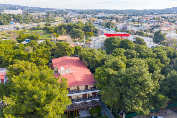 أفضل العروض ل تشريس كيفيسيا