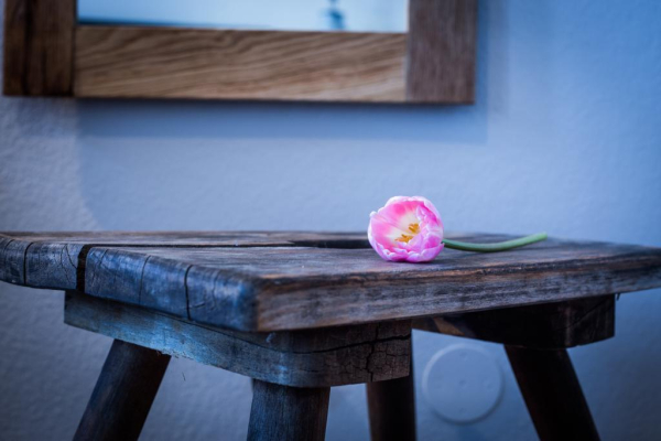 Best offers for Anna 1908 Charlottenburg