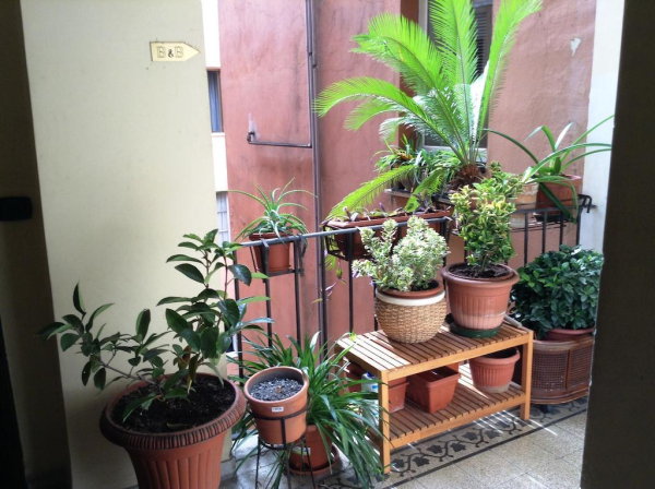 أفضل العروض ل بيد اند بريكفاست جالياص كاسار 183 روما