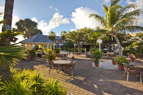 Best offers for MVC Eagle Beach Aruba Eagle  Beach