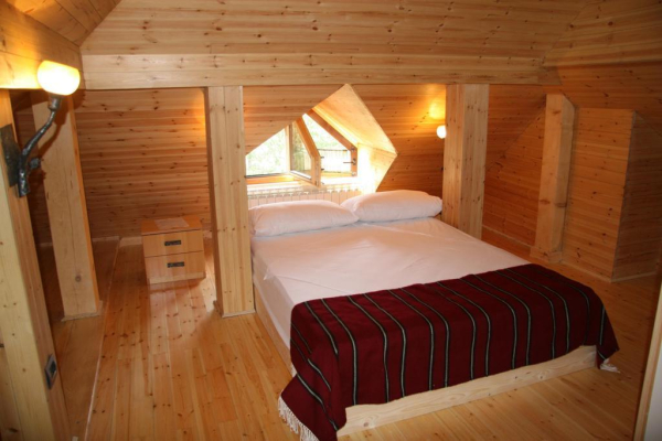 أفضل العروض ل  شكودرا 