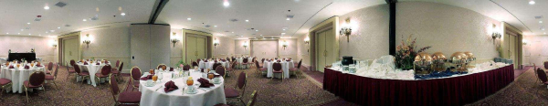 Best offers for DoubleTree by Hilton Bratislava Bratislava