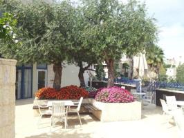 أفضل العروض ل  طبريه