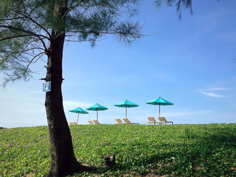 Best offers for Le Coral Resort and Spa KHAO LAK