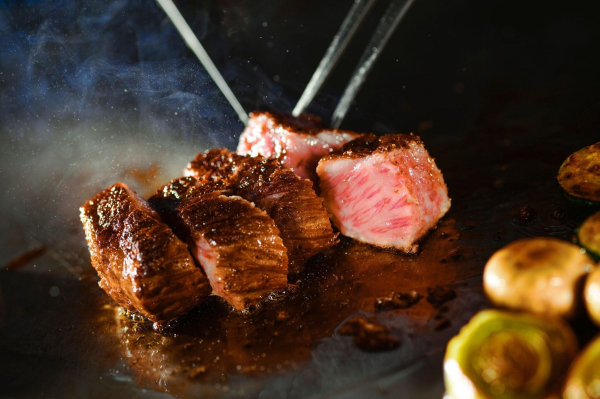 أفضل العروض ل منتجع ذ وستين راص يوتس يو نيسكو