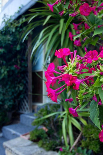 Best offers for Cronulla Motor Inn North Coast