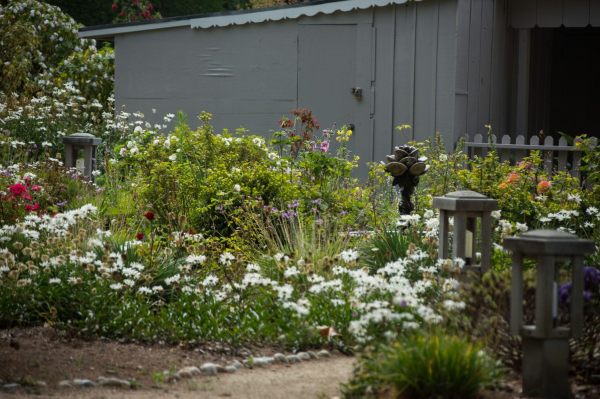 Best offers for Carmel River Inn California City 