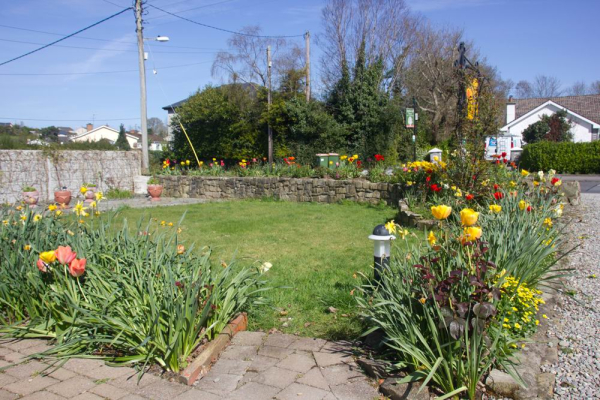 Best offers for Mystical Rose KERRY