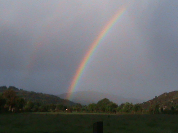 Best offers for Salmon Leap KERRY