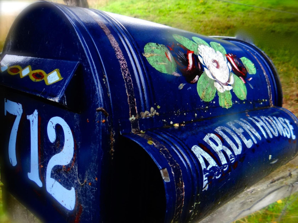 أفضل العروض ل  كوينستوون 