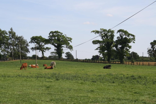 Best offers for Moate Lodge Kildare