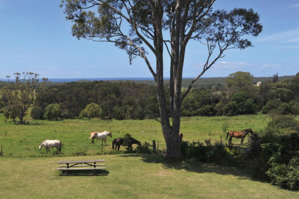 Best offers for Milton Village Motel South Coast