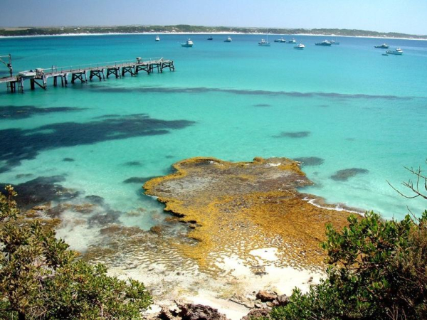 Best offers for Ki Ecopia Holiday Home Retreat Kangaroo Island
