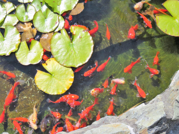 أفضل العروض ل ادميرالس موتور لودج مارلبوراوه