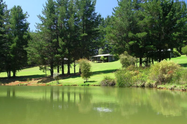 Best offers for Hawke Brook Chalets South Coast