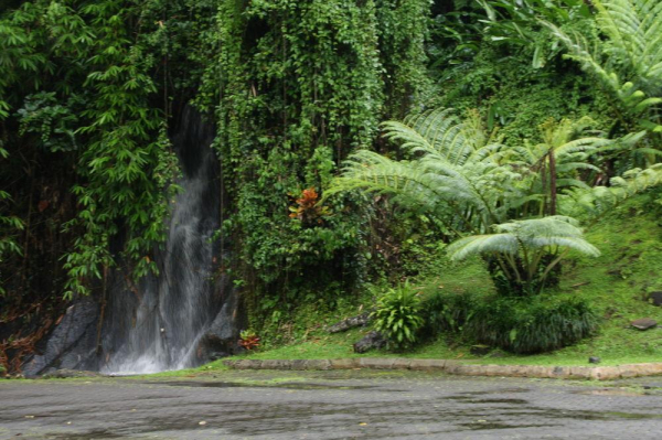 أفضل العروض ل نيروانا بالي جزيرة بالي