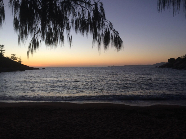 Best offers for Tropical Palms Resort & 4WD Hire Great Barrier Reef