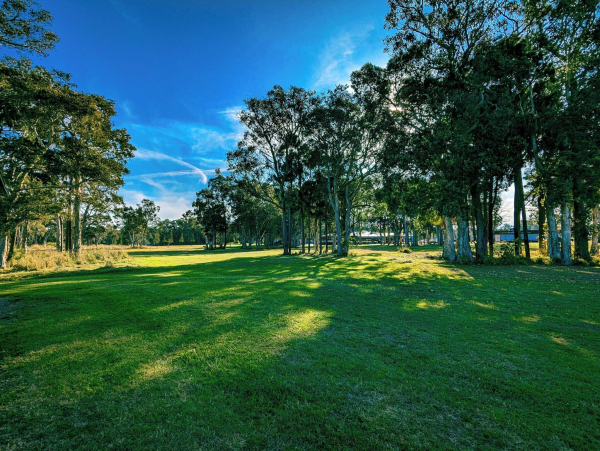 Best offers for Island Palms Motor Inn North Coast