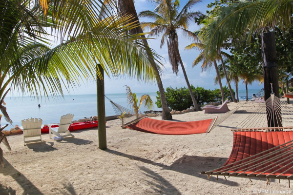 Best offers for Lime Tree Bay Resort Florida Keys