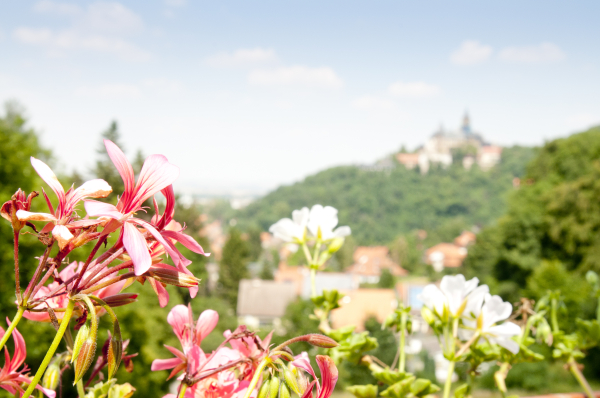 Best offers for Regiohotel Schanzenhaus Harzgerode