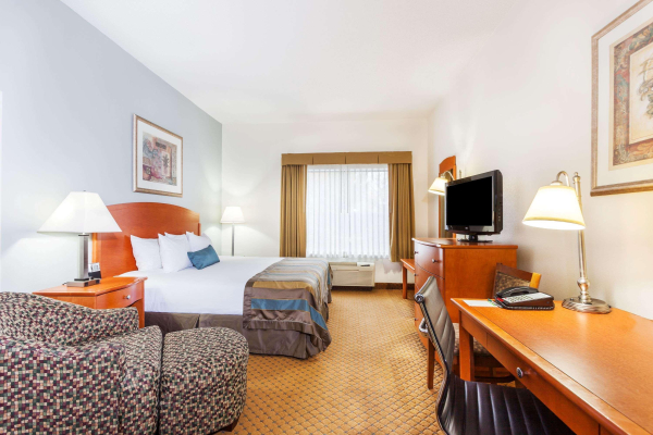 أفضل العروض ل  وينتشستر 