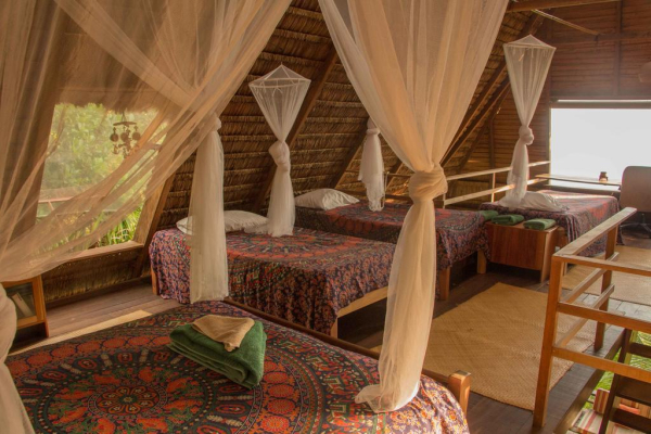 Best offers for Finca Exotica Eco Lodge South Pacific Beaches In Costa Rica