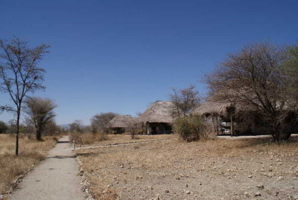 Best offers for Whistling Thorn Camp Serengeti National Park