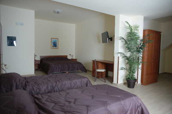 Best offers for Sofia Trapani