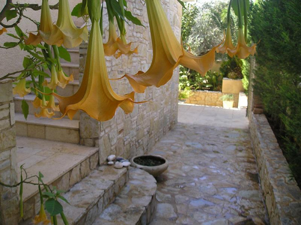 Best offers for Eleonas Studios Aegina 