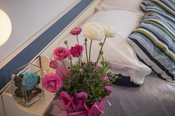 أفضل العروض ل فناص ريميني