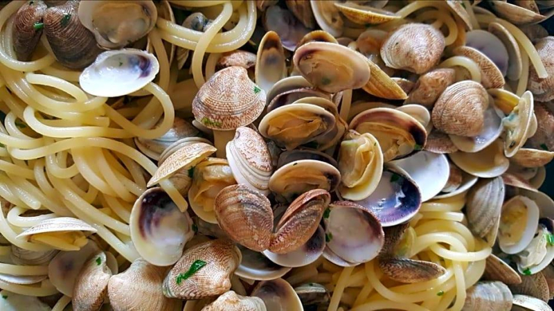 أفضل العروض ل فندق كامليا ريميني