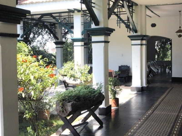 Best offers for Matamundo Neiva