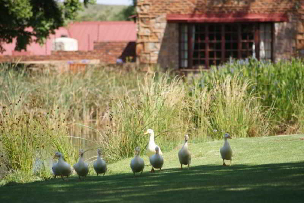 أفضل العروض ل فندق اربان هيب  س- كريتتشلاي هاكل مبومالانجا