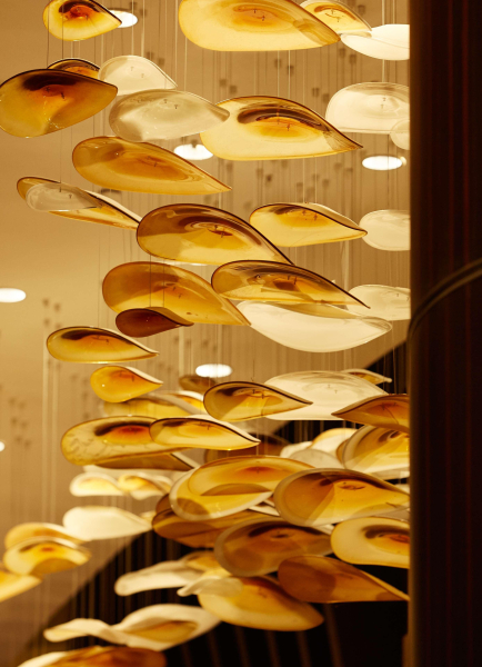 أفضل العروض ل هيات رجىنسى مانيلا سيتىاف دريمس باساي