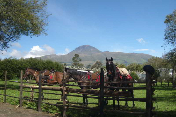 Best offers for Hosteria Papagayo Machachi