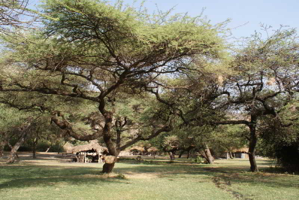 Best offers for Lake Natron Tented Camp Lake Manyara National park