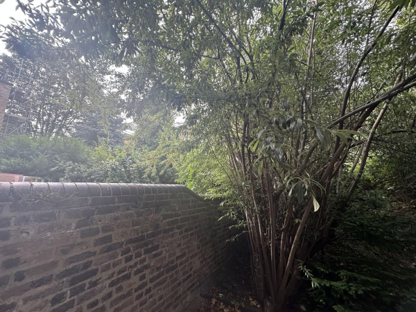 أفضل العروض ل كافنديش سينترال لوندون